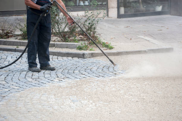 Best Fence Cleaning  in Fox Chase, PA